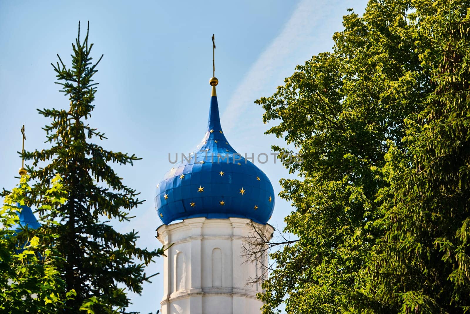 Russia-2020. Church domes of the Orthodox Church behind the trees. general plan. daylight color by lempro