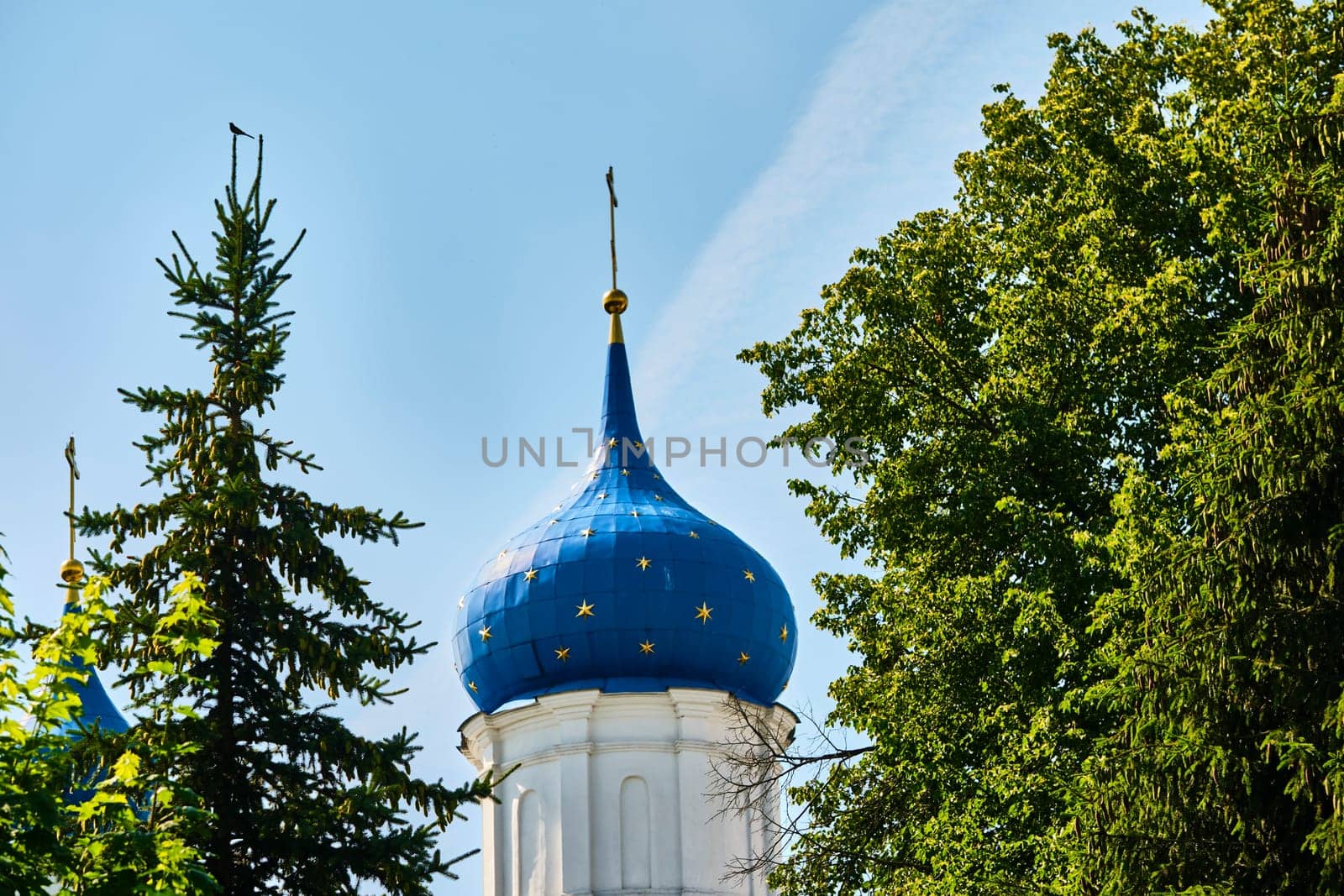 Russia-2020. Church domes of the Orthodox Church behind the trees. general plan. daylight