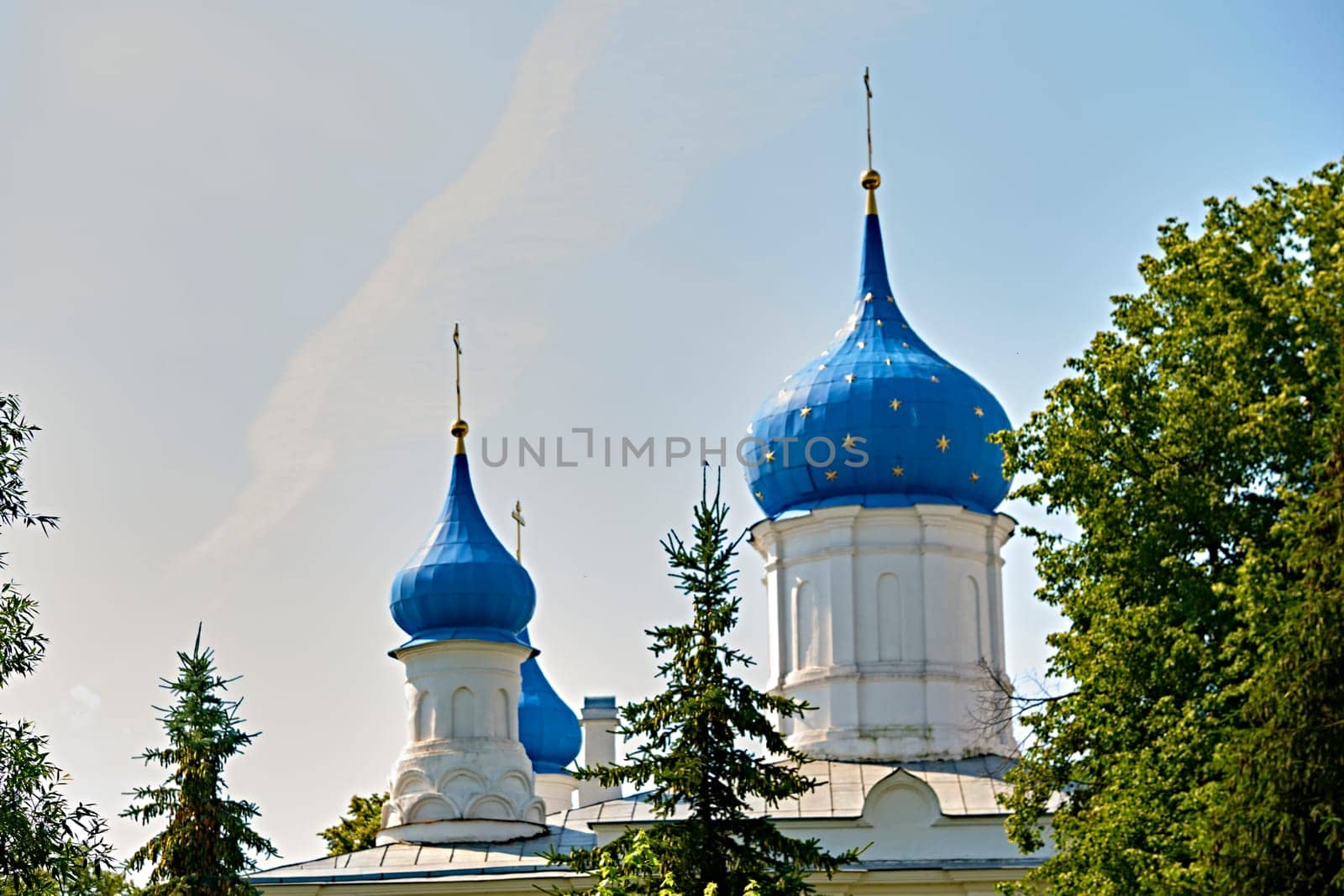 Russia-2020. Church domes of the Orthodox Church behind the trees. general plan. daylight