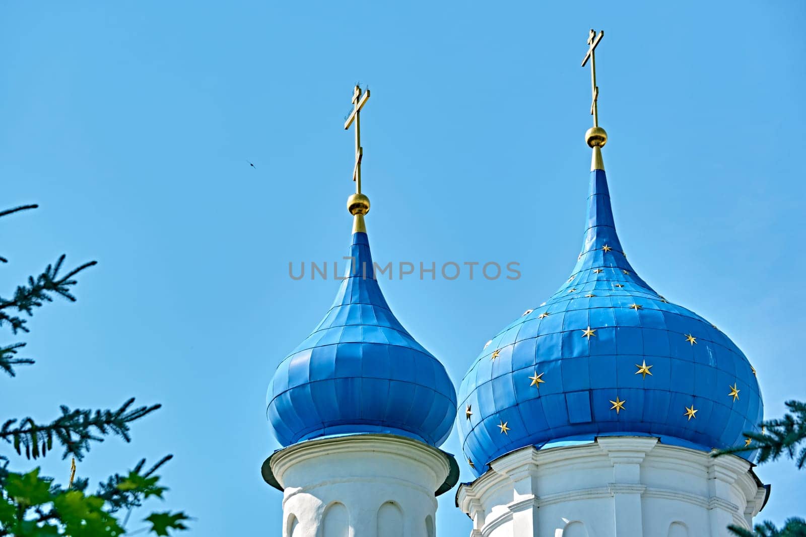 Russia-2020. Church domes of the Orthodox Church behind the trees. general plan. daylight