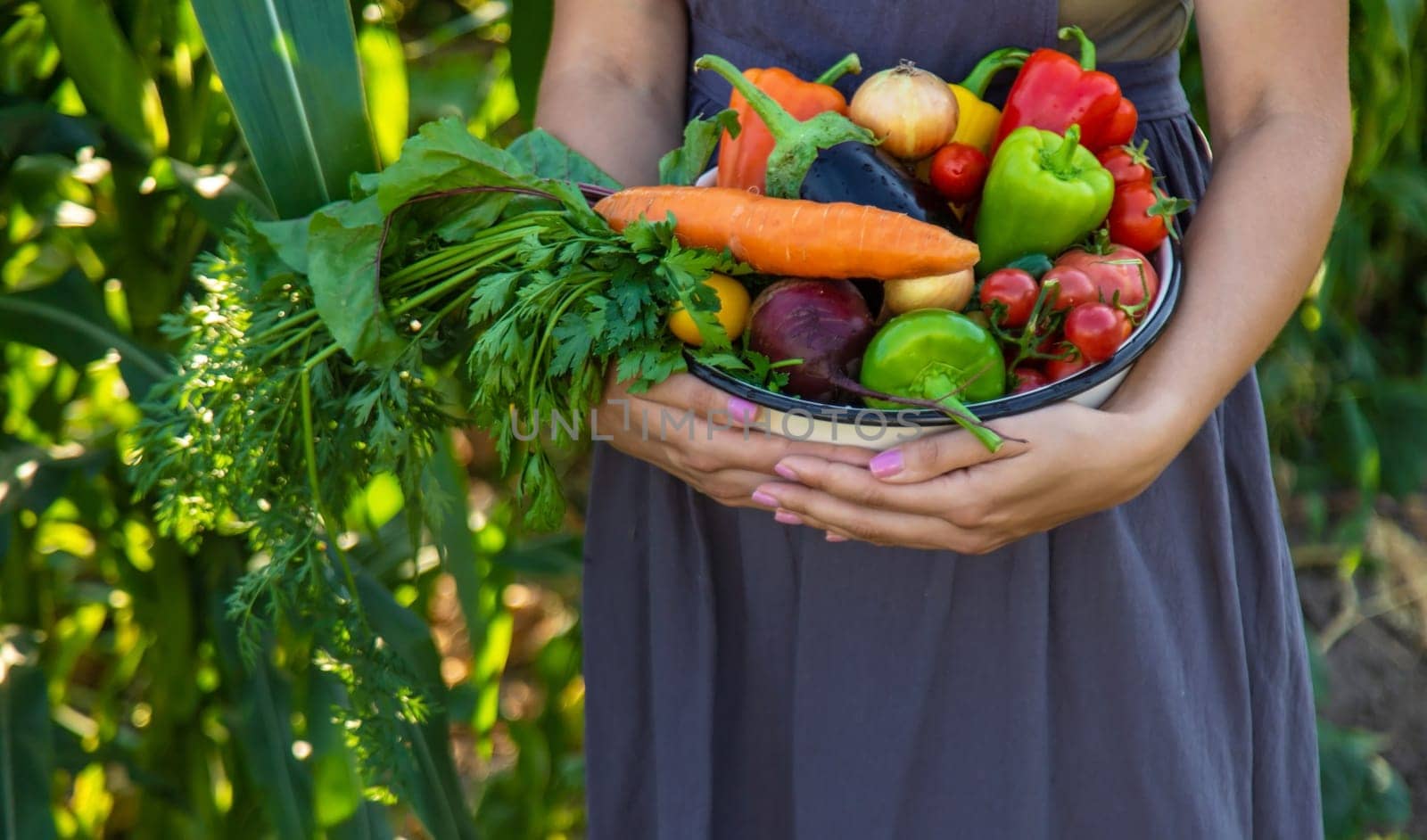 woman in the garden with vegetables in her hands.