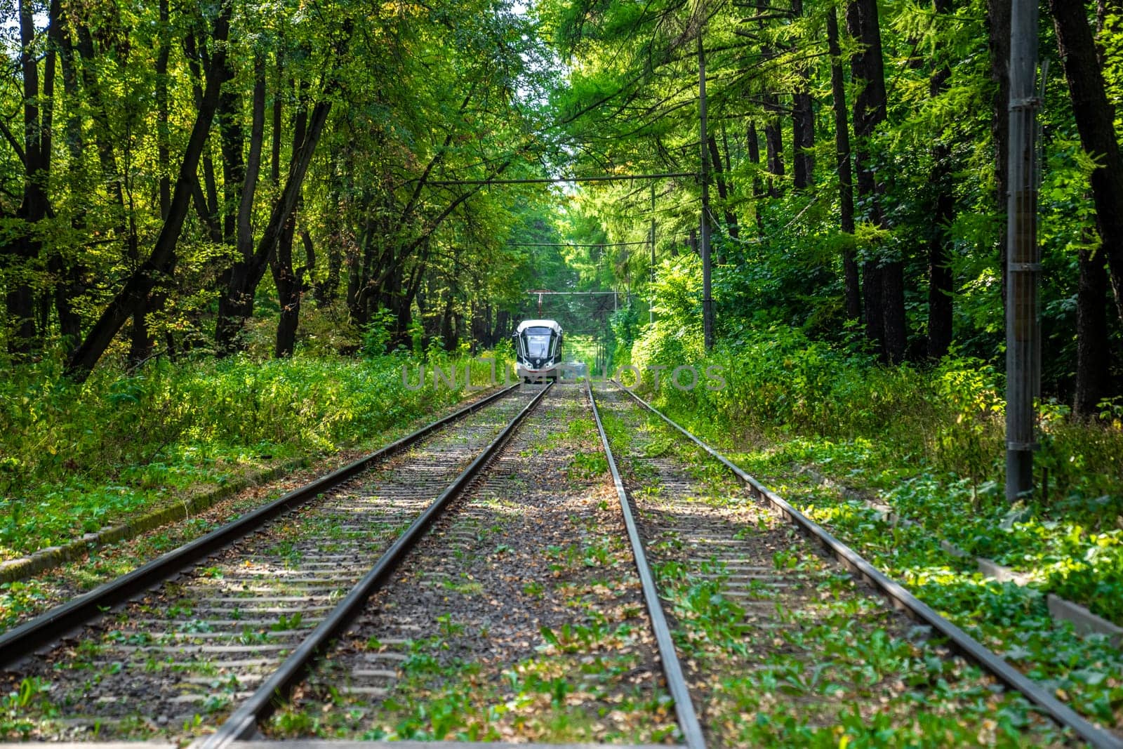 Russia, Moscow 2022. The tram goes through the forest. Tram rails in the corridor of trees in Moscow. by lempro