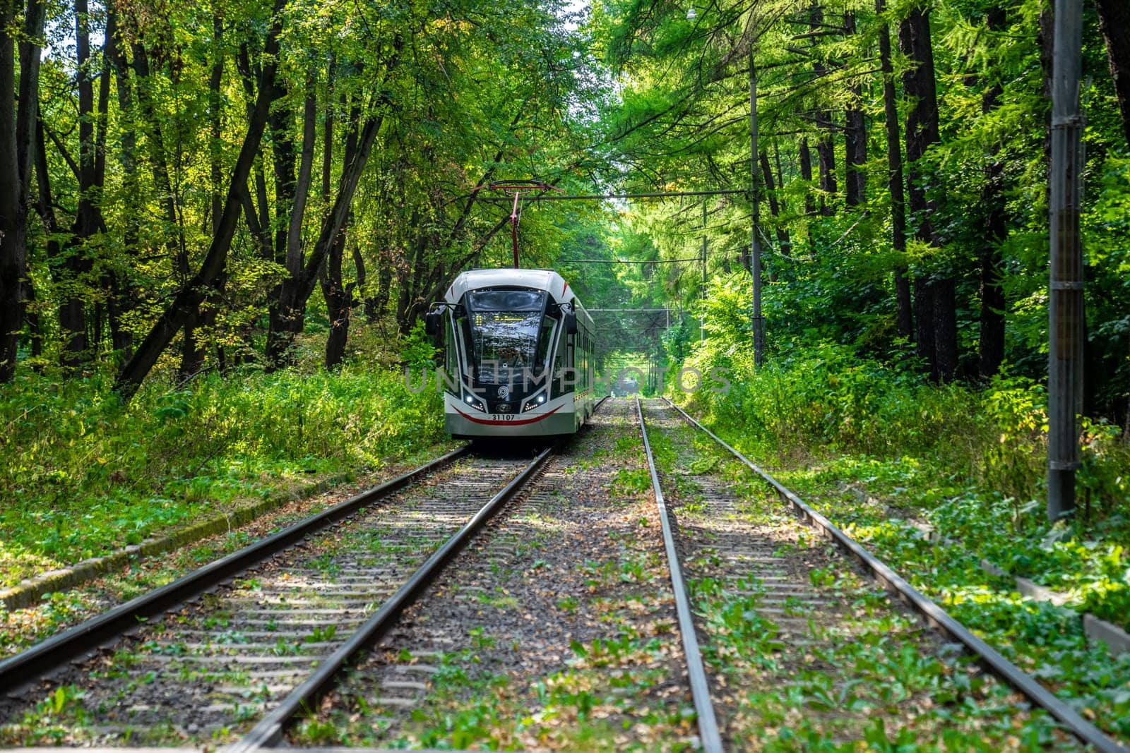 Russia, Moscow 2022. The tram goes through the forest. Tram rails in the corridor of trees in Moscow. color nature