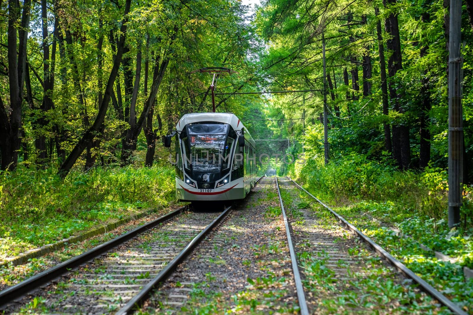 Russia, Moscow 2022. The tram goes through the forest. Tram rails in the corridor of trees in Moscow. by lempro