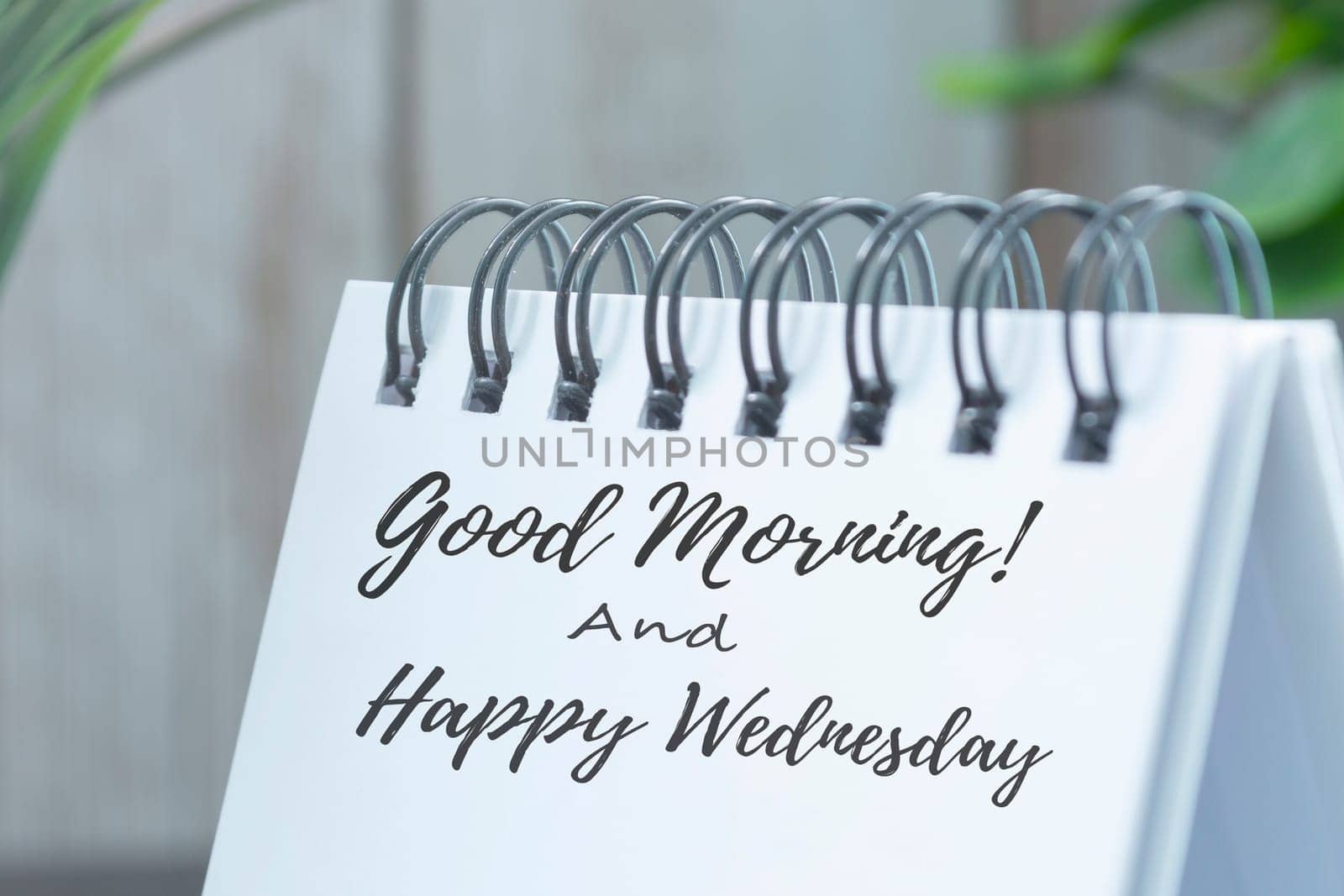 Good morning and happy wednesday text on white calendar with potted plant background on wooden desk.