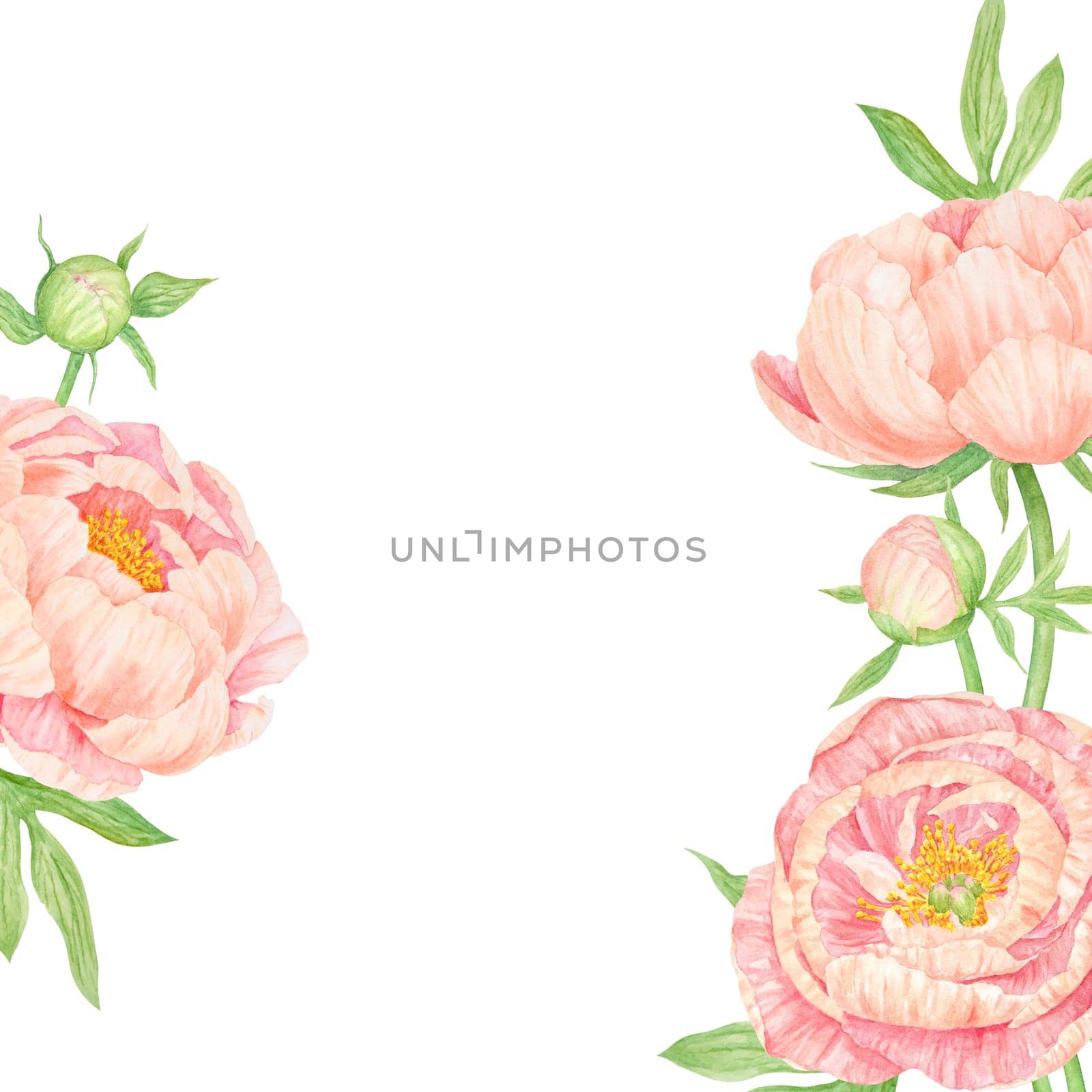 Peach peony bouquet watercolor hand drawn frame. Chinese national symbol illustration. Realistic flower clipart, floral arrangement for card design, wedding invitation, prints, textile, packing by florainlove_art