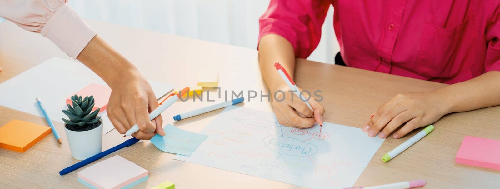 Professional businesswoman drawing business mind map. Closeup. Variegated. by biancoblue