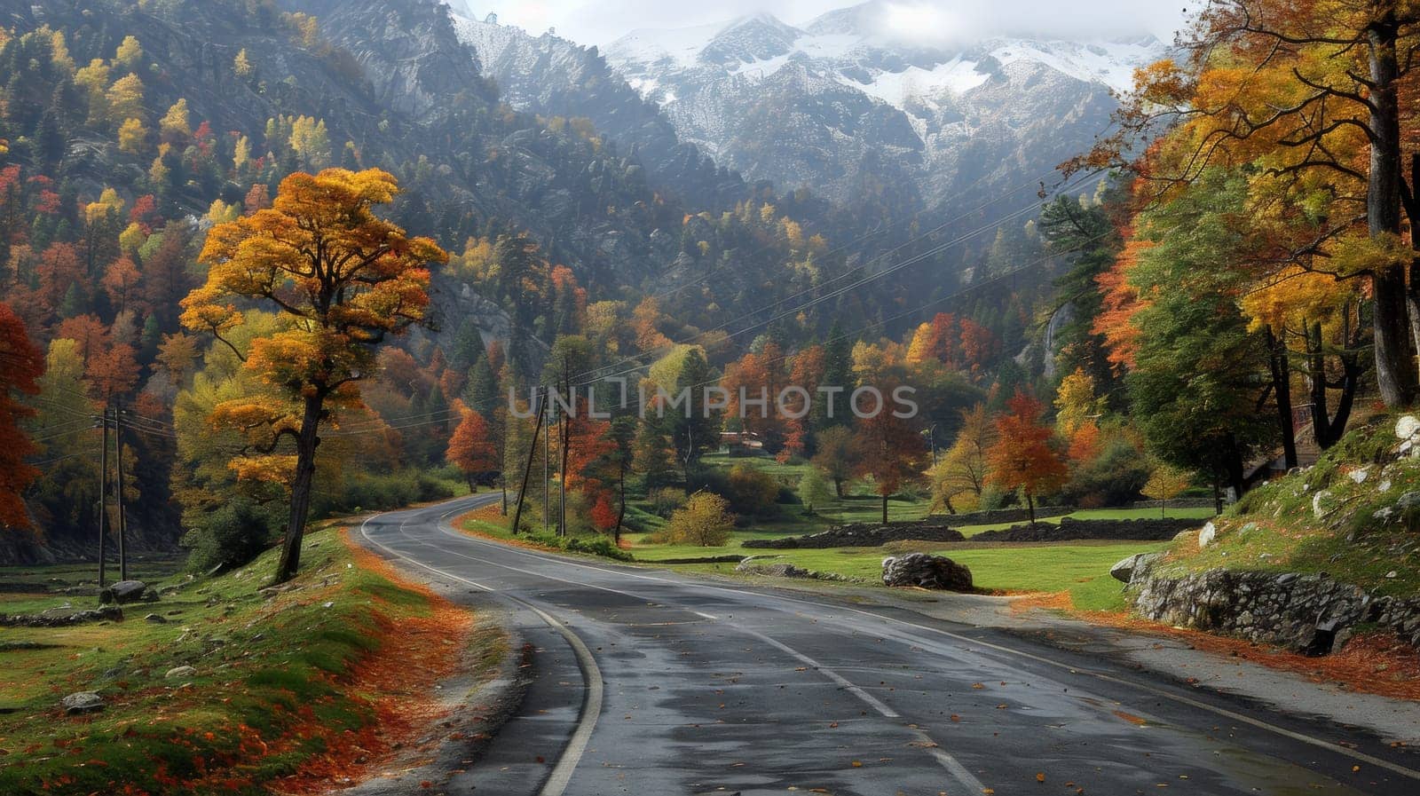 A road with trees and mountains in the background