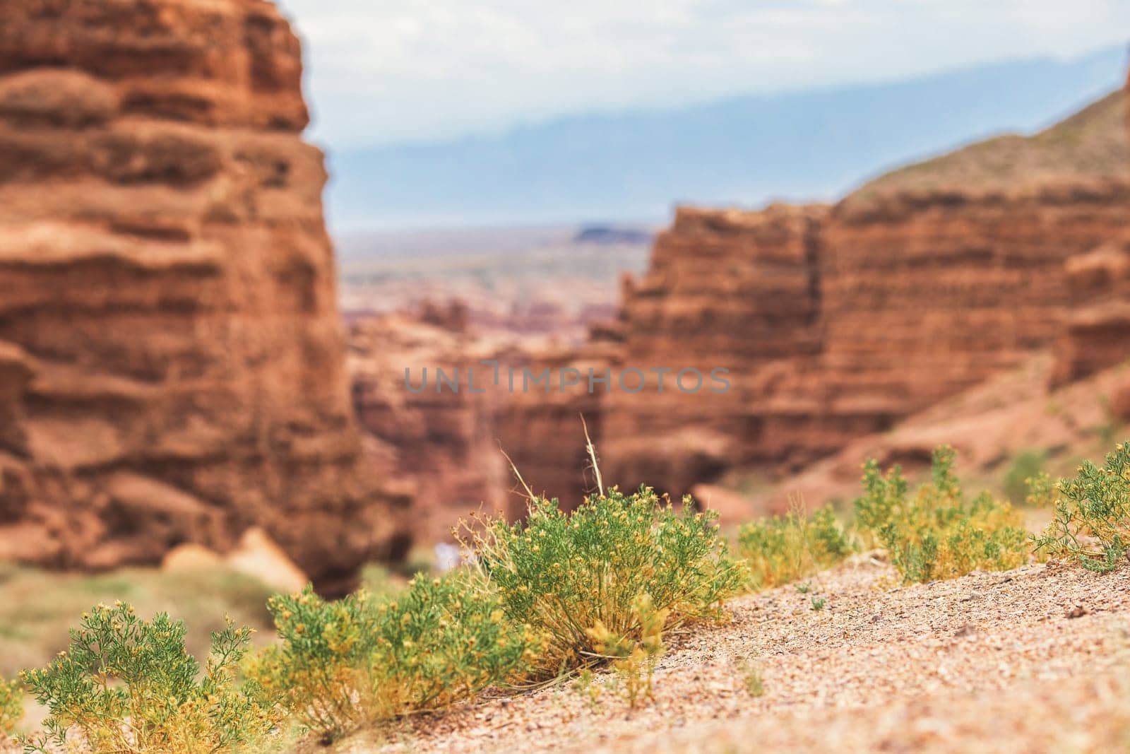 Nature blurred background of the Charyn canyon in the national park of the Almaty region. Picturesque nature of Central asia, South-Eastern Kazakhstan by Rom4ek