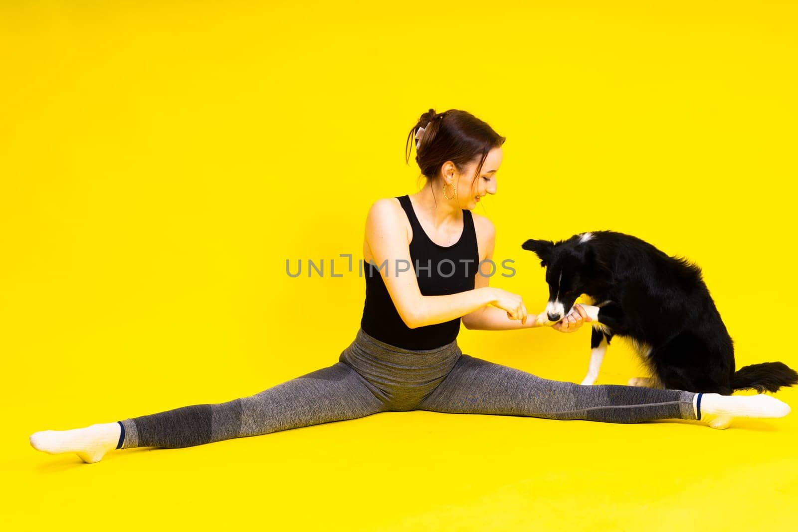 Border collie dog and sport fitness woman in front of yellow red background by Zelenin