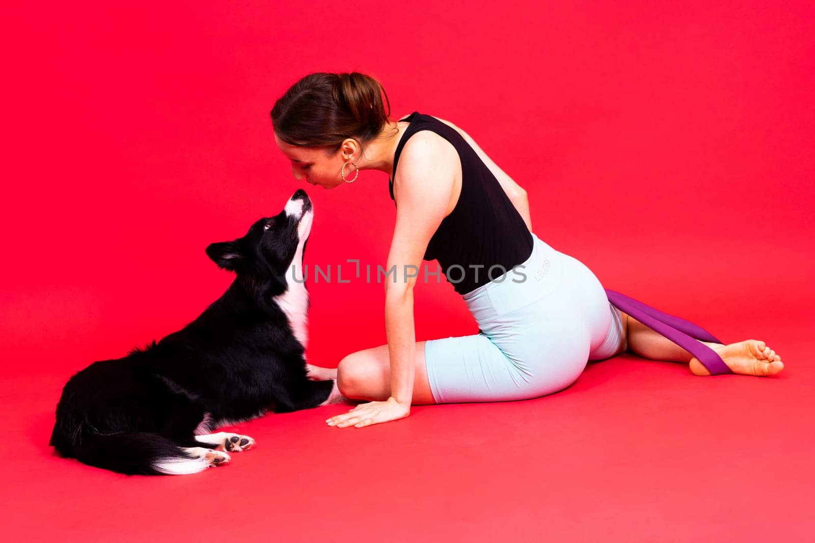 Border collie dog and sport fitness woman in front of yellow red background by Zelenin