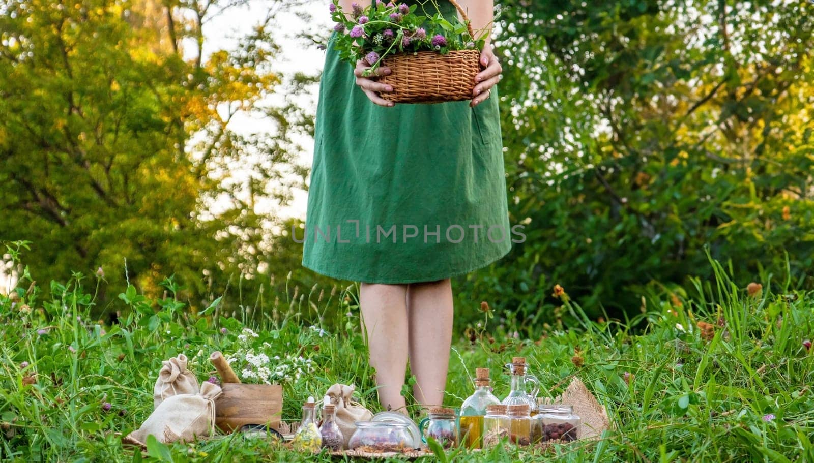 A woman collects medicinal herbs.