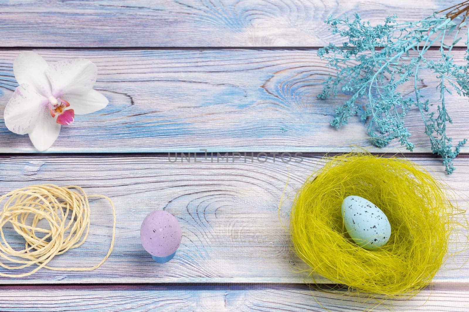 Nest with a colored Easter egg, an orchid flower and a rope on the boards with decorative plants. Top view.
