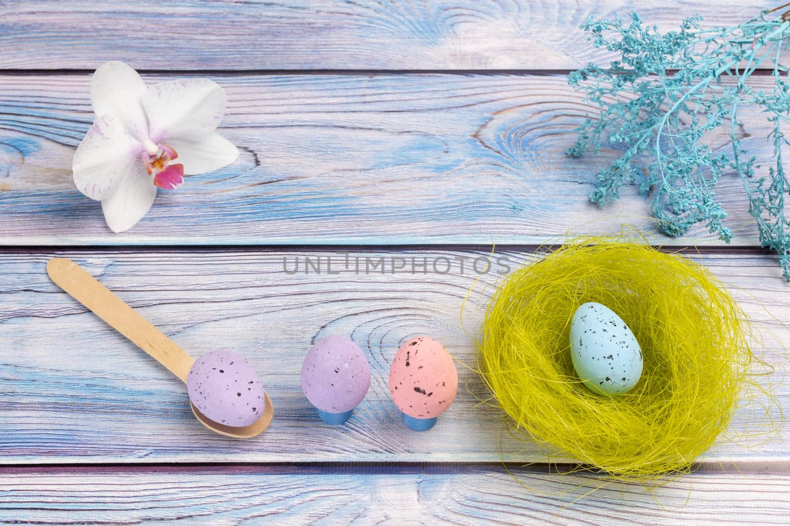 Nest with a colored Easter egg, an orchid flower and a wooden spoon on the boards with decorative plants. Top view.