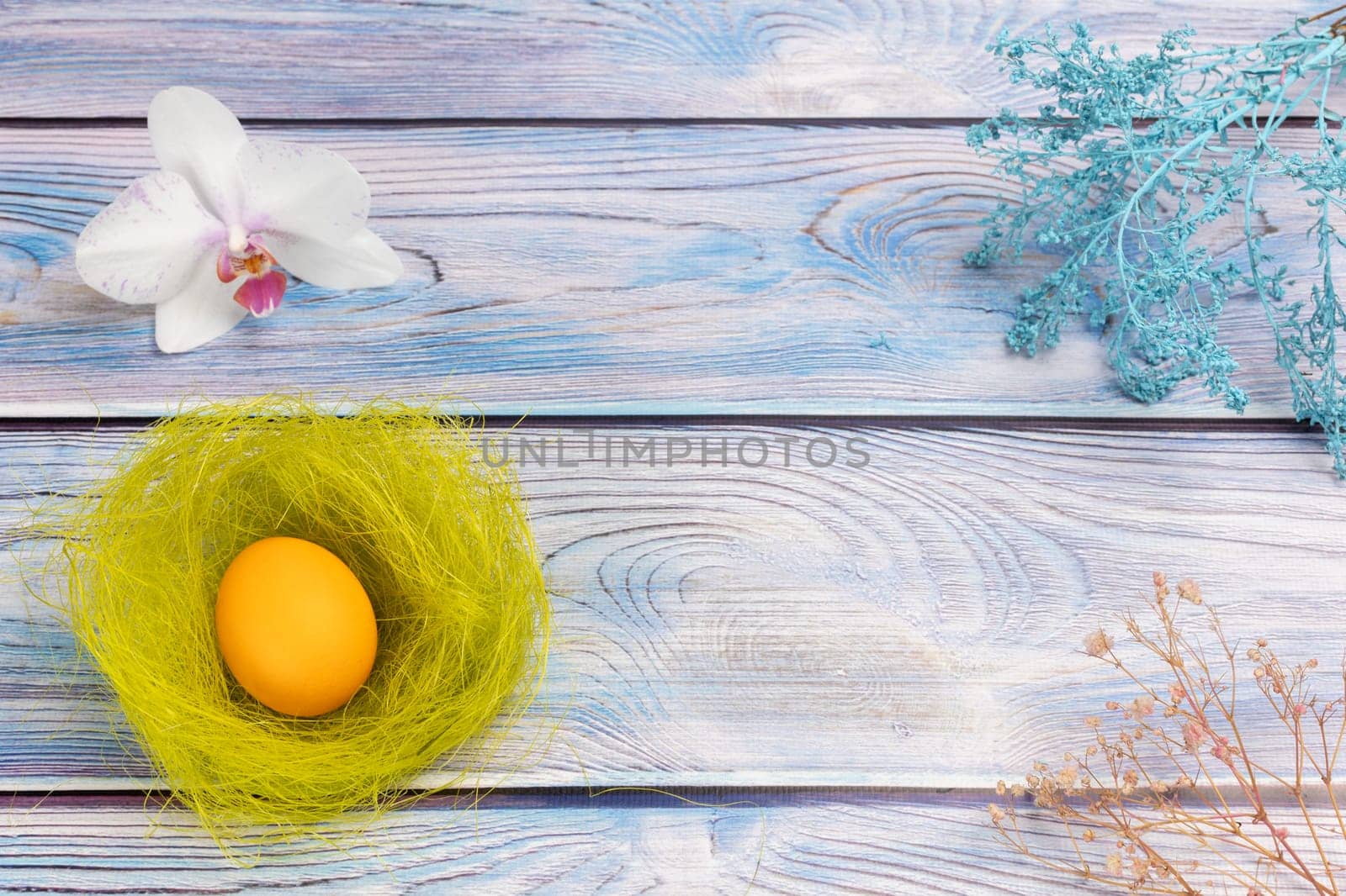 Nest with Easter egg and an orchid flower on the boards with decorative plants. Top view.