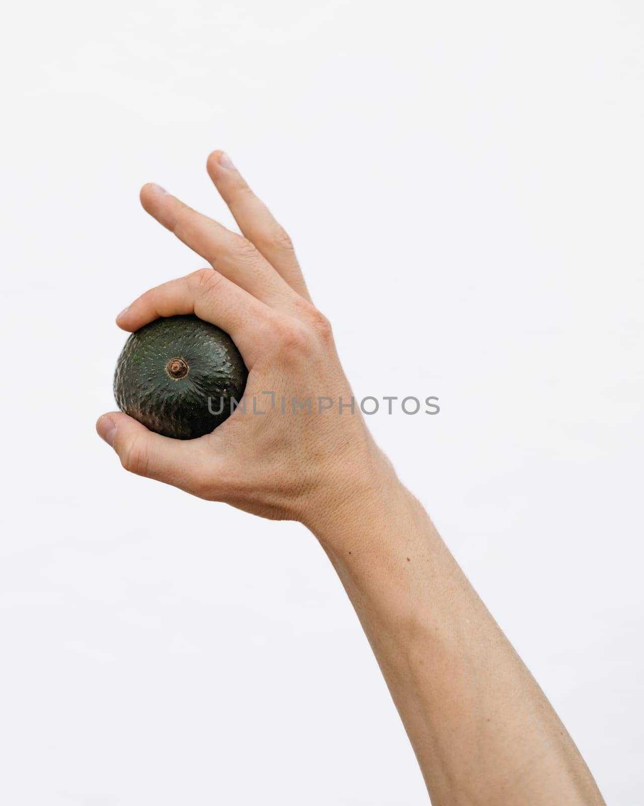 A human hand holding a whole avocado, with a white backdrop emphasizing simplicity and health