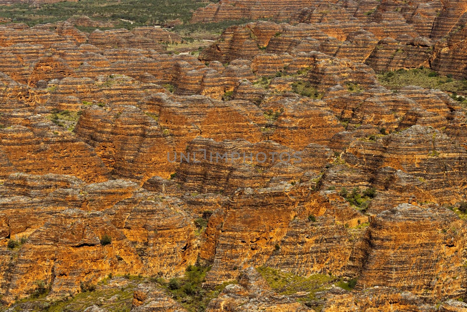 Famous domes of the Bungle Bungles Purnululu national park, western Australia by StefanMal