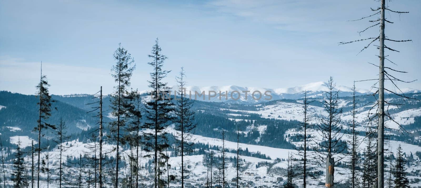 Beautiful dark blue mountain in snow landscape with forest. Panorama landscape by igor010