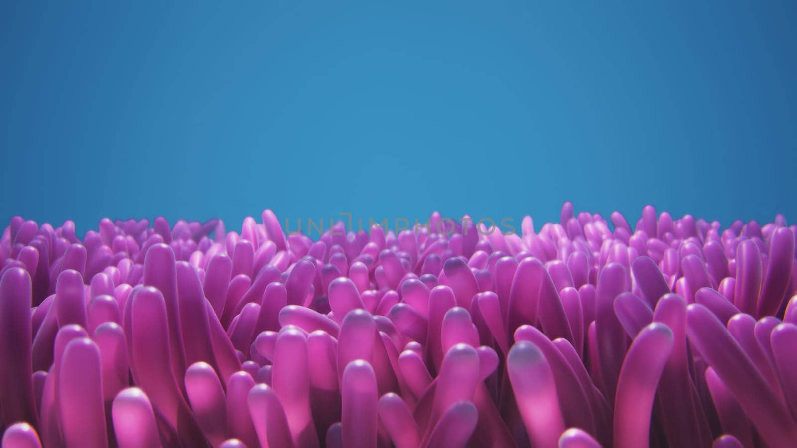 3d render of pink algae anemones swaying underwater in 4k