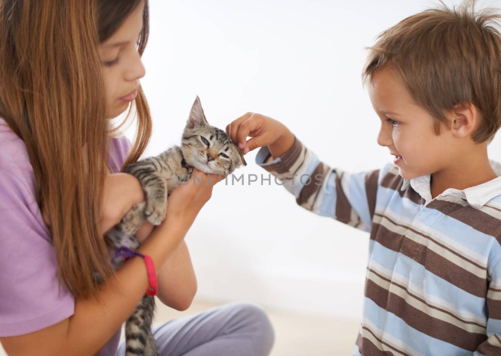 Siblings, kitten and young boy in family home, scratching and love for small animal. Smile, happy or caring children with domestic cat, pet and rescue companion or adoption for childhood development by YuriArcurs