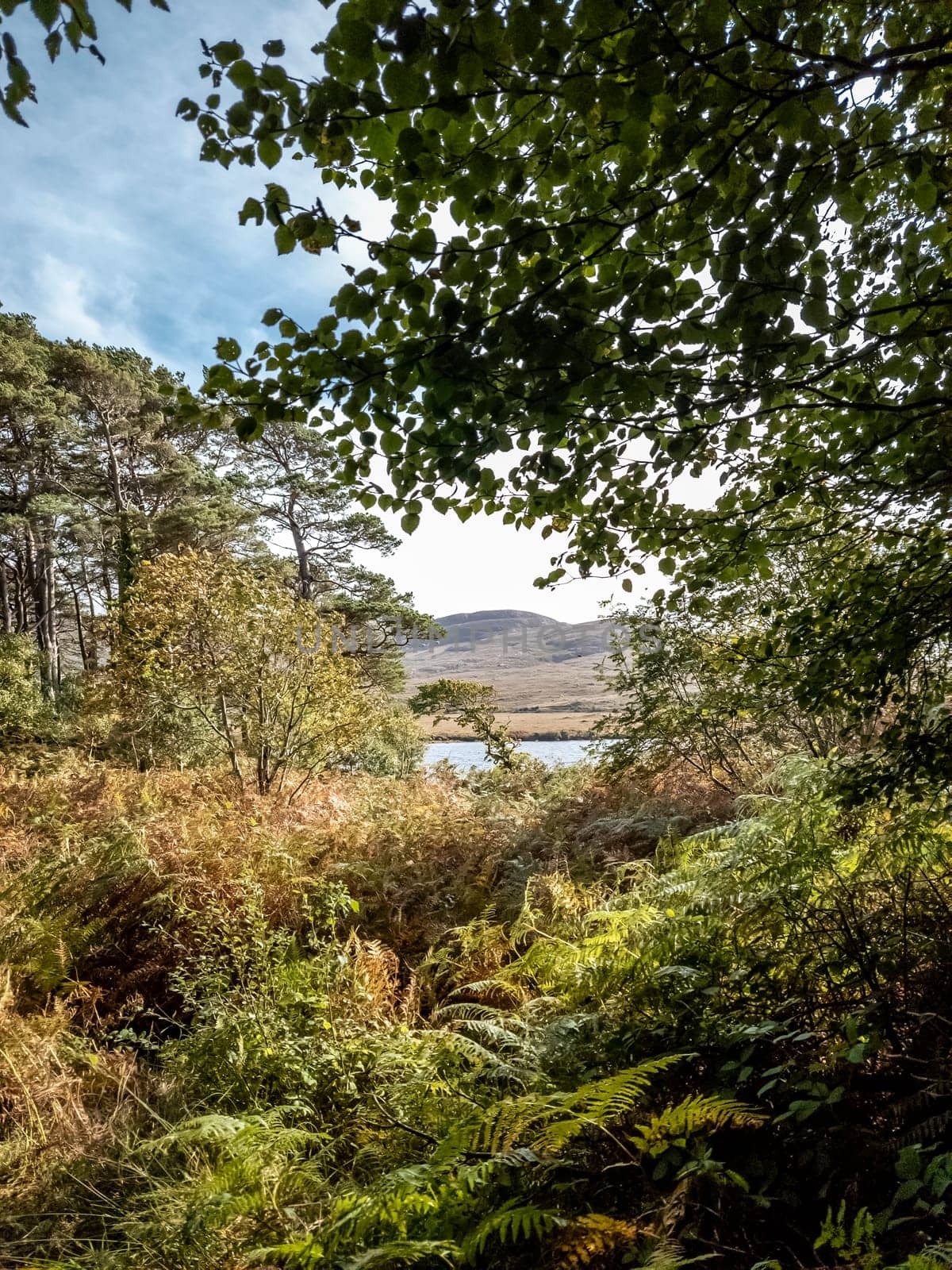 Lough Veagh, Glenveagh National Park - Donegal, Ireland.