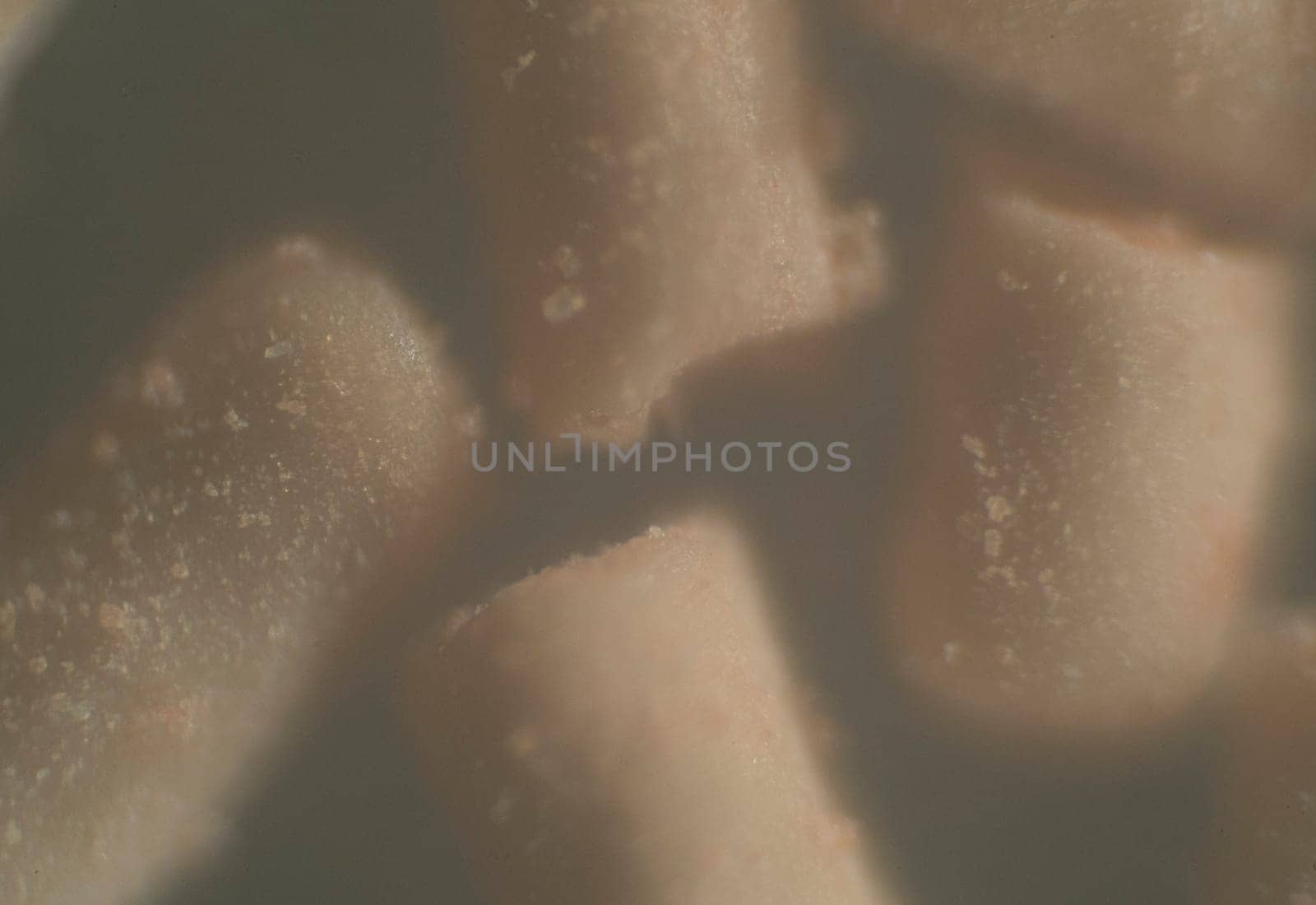 Close-up of thermophilic yeast in water close up