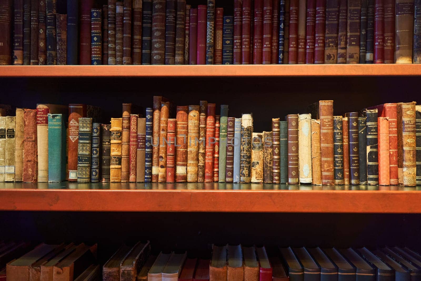 An image of a bookcase filled with publications in a library by driver-s