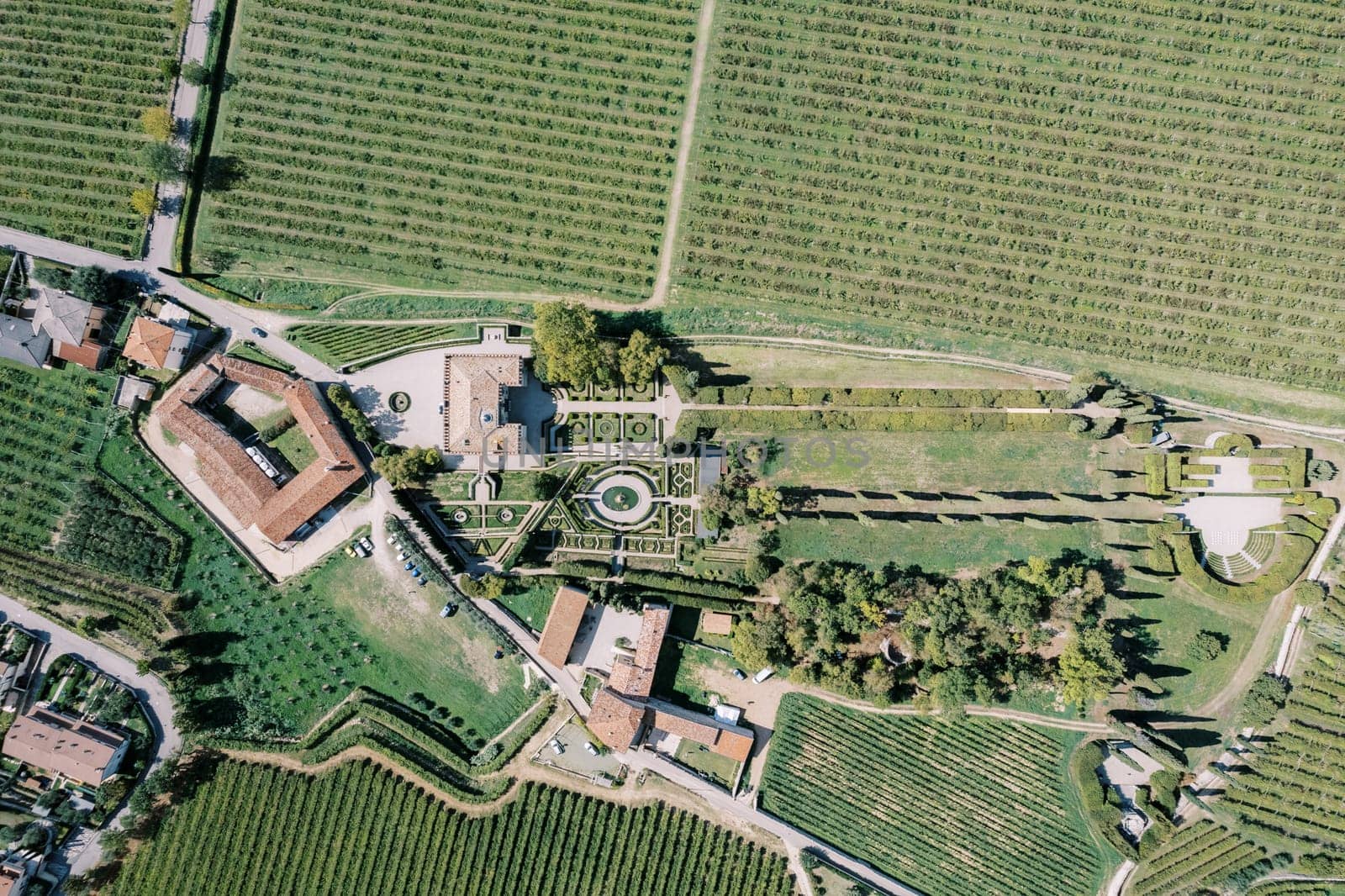 Green vineyards near Villa Rizzardi. Valpolicella, Italy. Drone by Nadtochiy