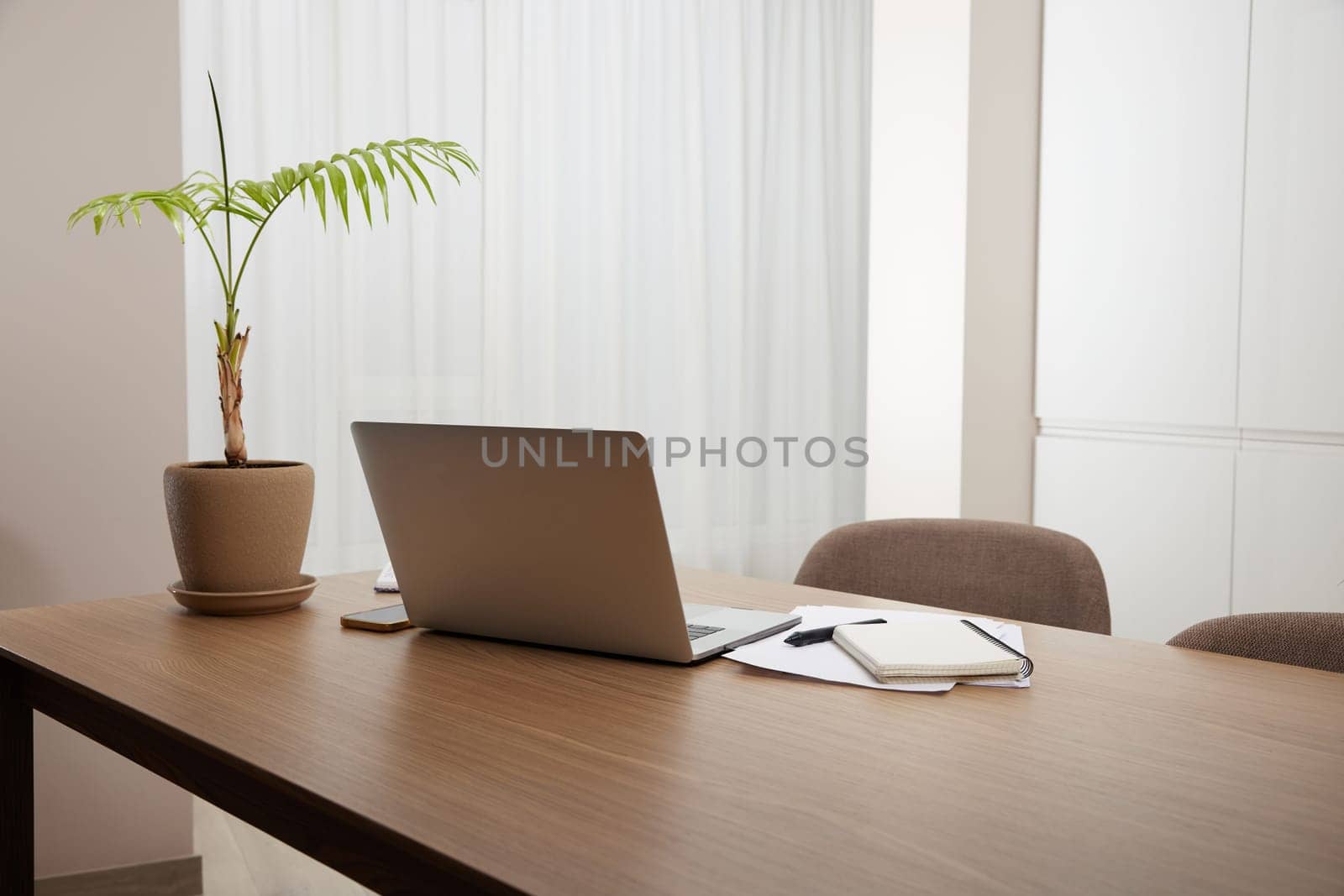 Laptop and flower pot on wooden table by erstudio