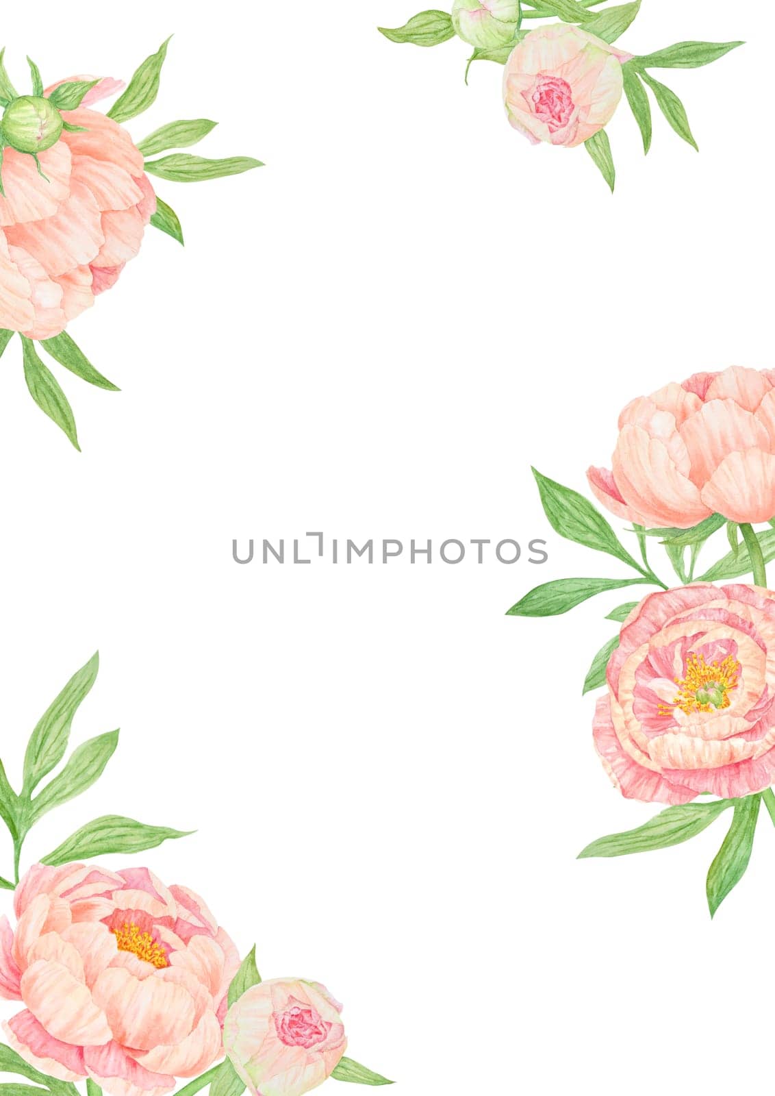 Peach peony bouquet watercolor hand drawn frame. Chinese national symbol illustration. Realistic flower clipart, floral arrangement for card design, wedding invitation, prints, textile, packing by florainlove_art