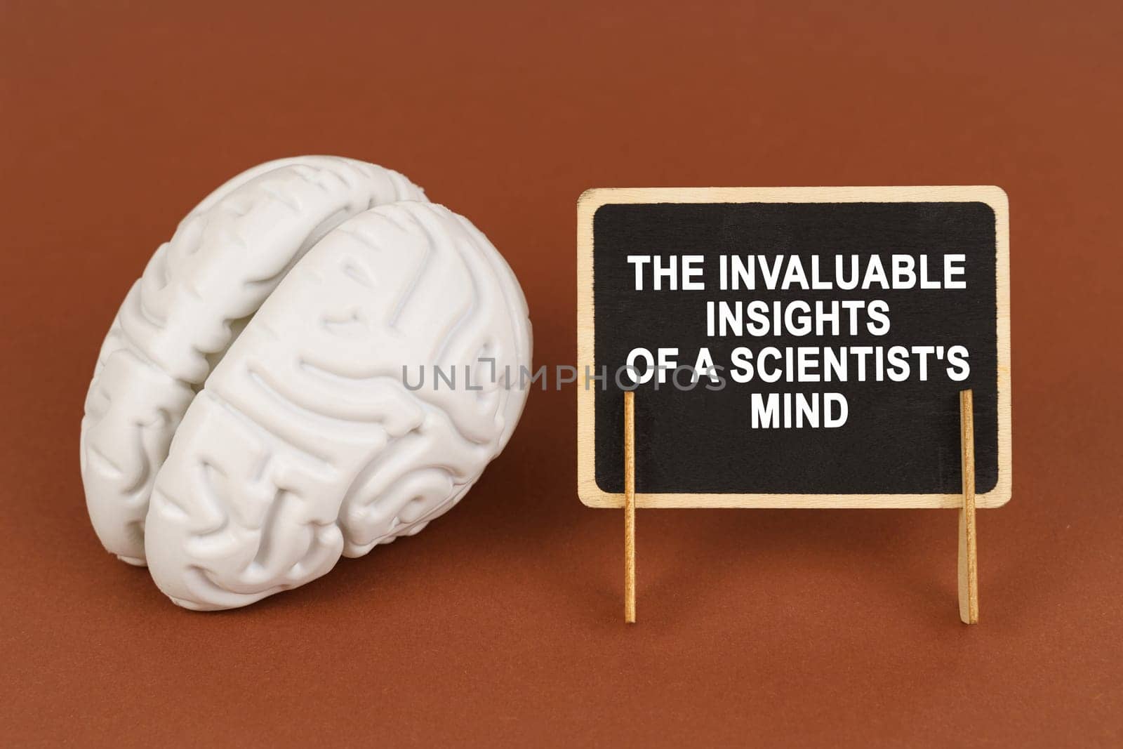 On a brown background, a model of the brain and a sign with the inscription - The invaluable insights of a scientist's mind. Science and education concept.