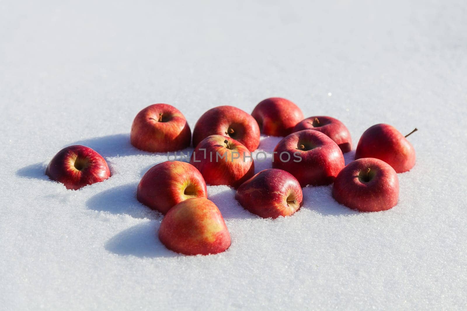 Red apples lying on the snow in the winter, close-up