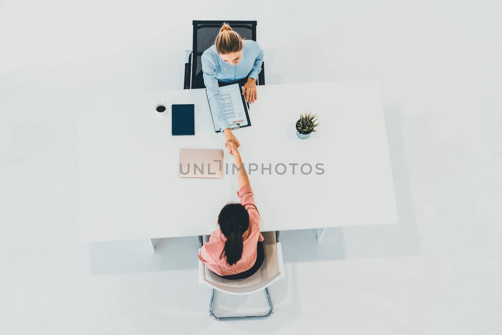 Two young business women in meeting at office table for job application and business agreement. Recruitment and human resources concept. uds