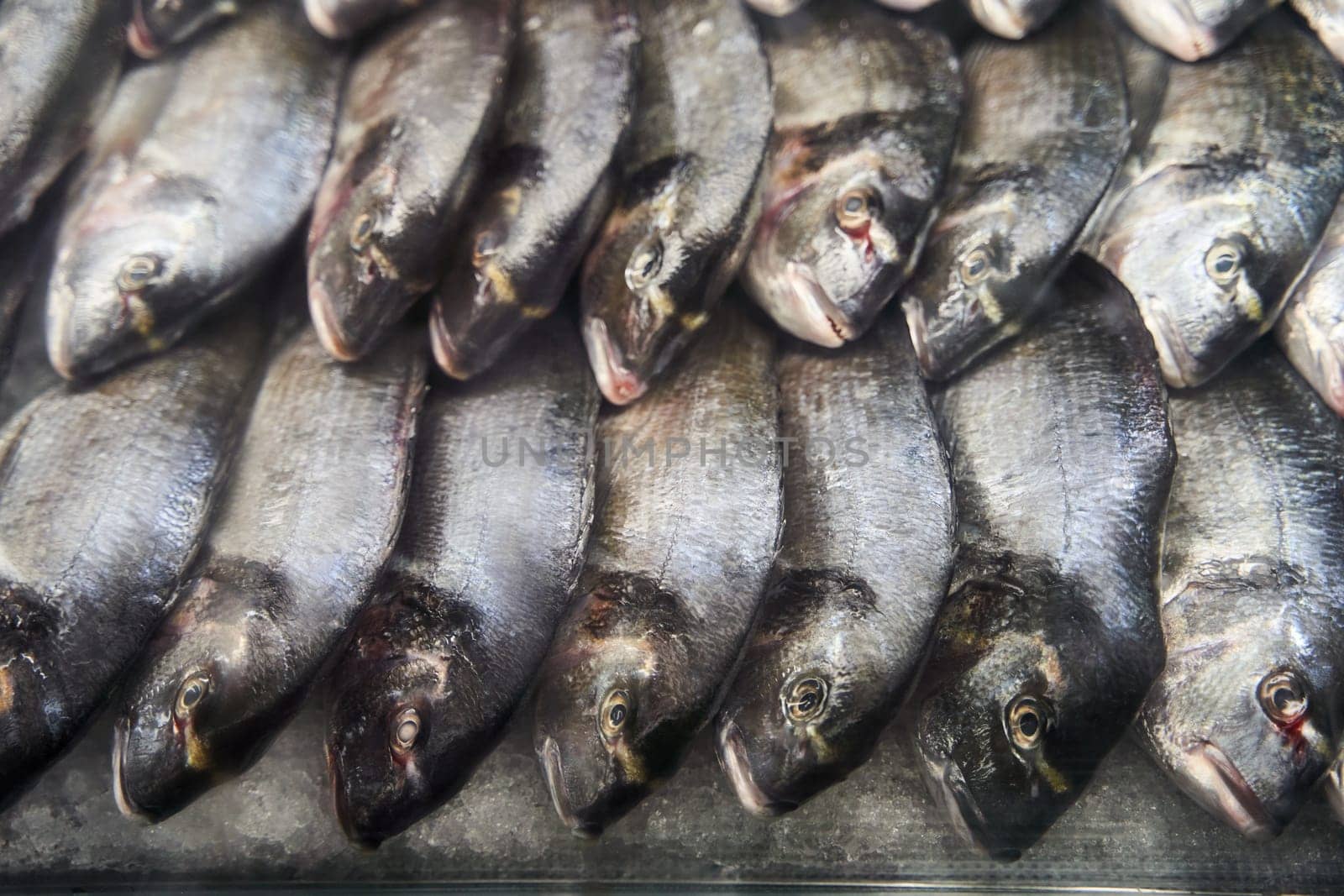Fish stacked on ice, awaiting sale, a staple food item by driver-s