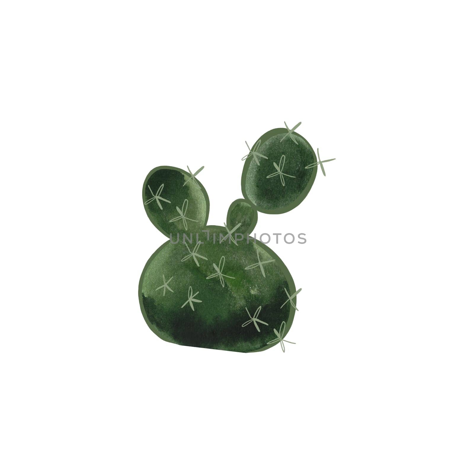 Prickle pear. Cactus. Plants for the home. Floriculture. Desert flora. Isolated watercolor illustration on white background. Clipart