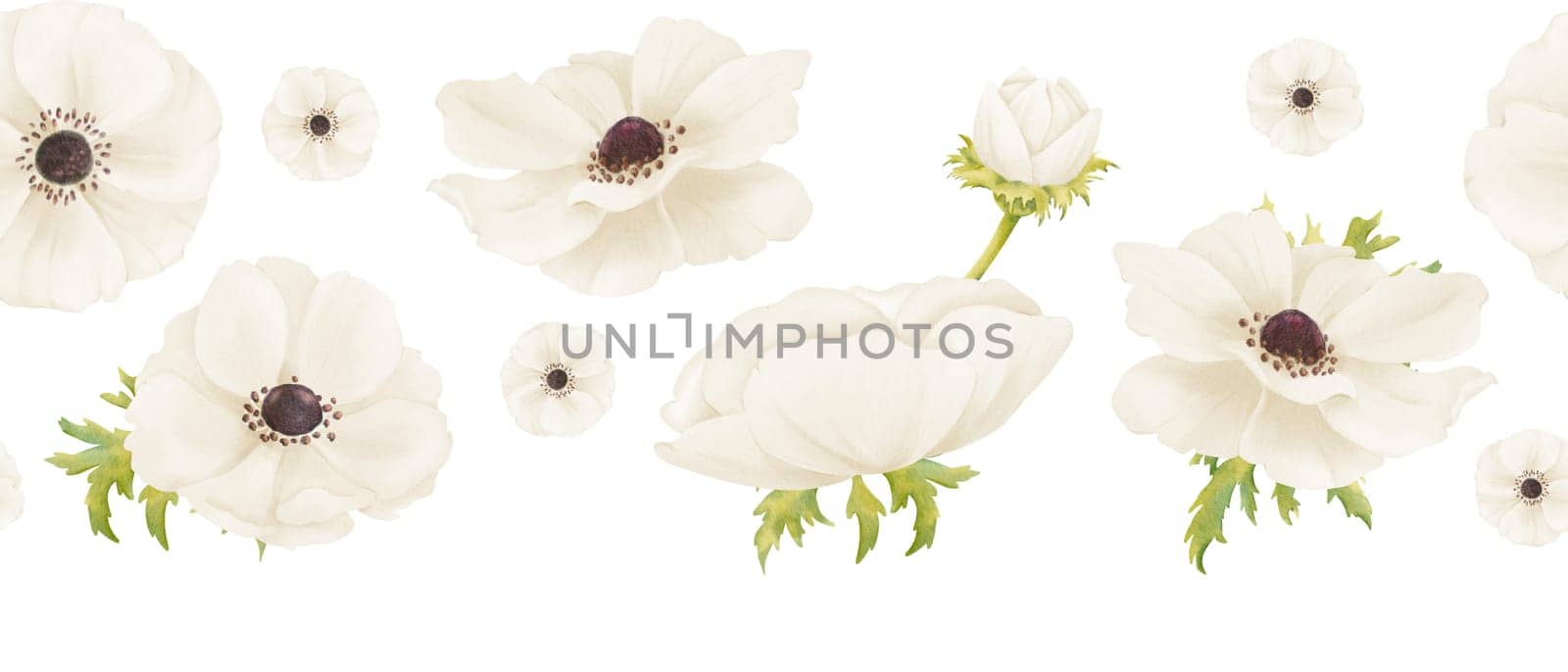 A seamless border featuring delicate white anemones and fresh greenery. watercolor illustration for a wide range of wedding invitations, greeting cards, digital backgrounds or artwork.