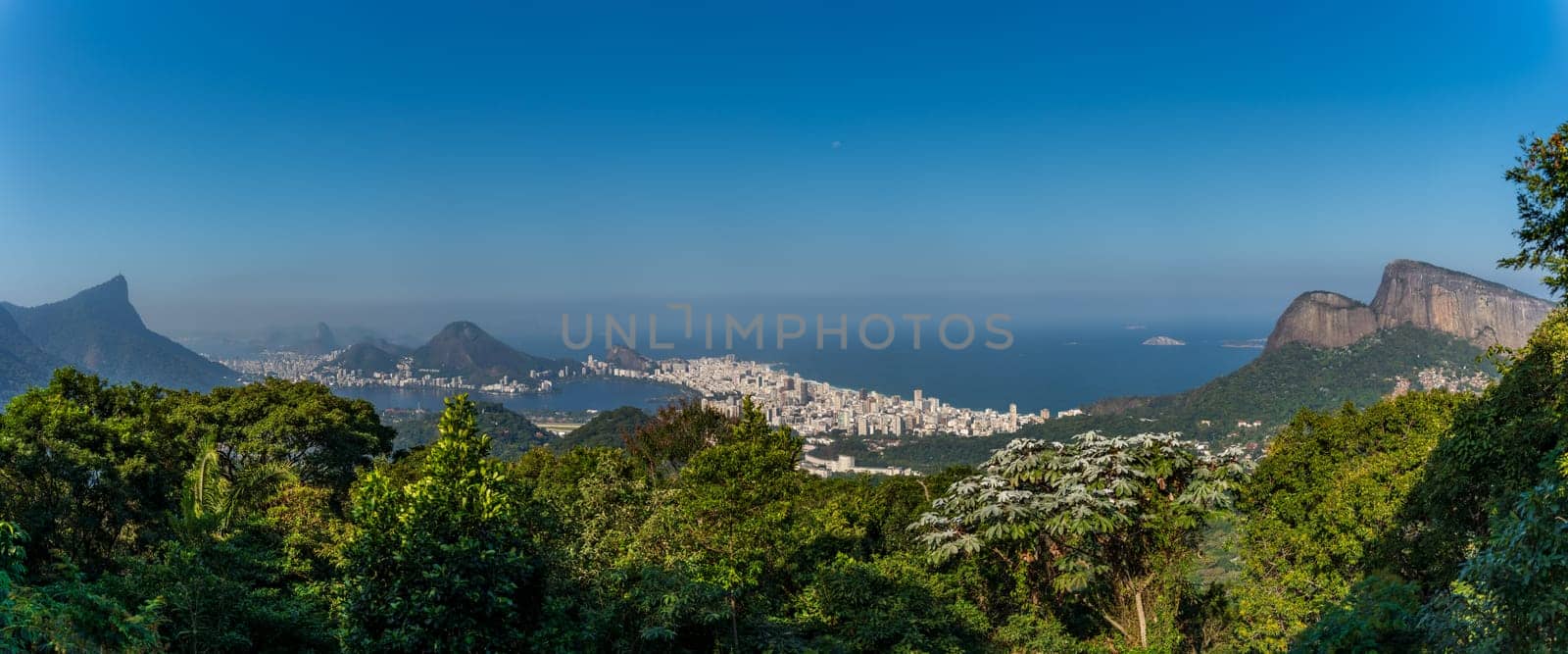 Panoramic View of Rio de Janeiro from a Forested Outlook by FerradalFCG