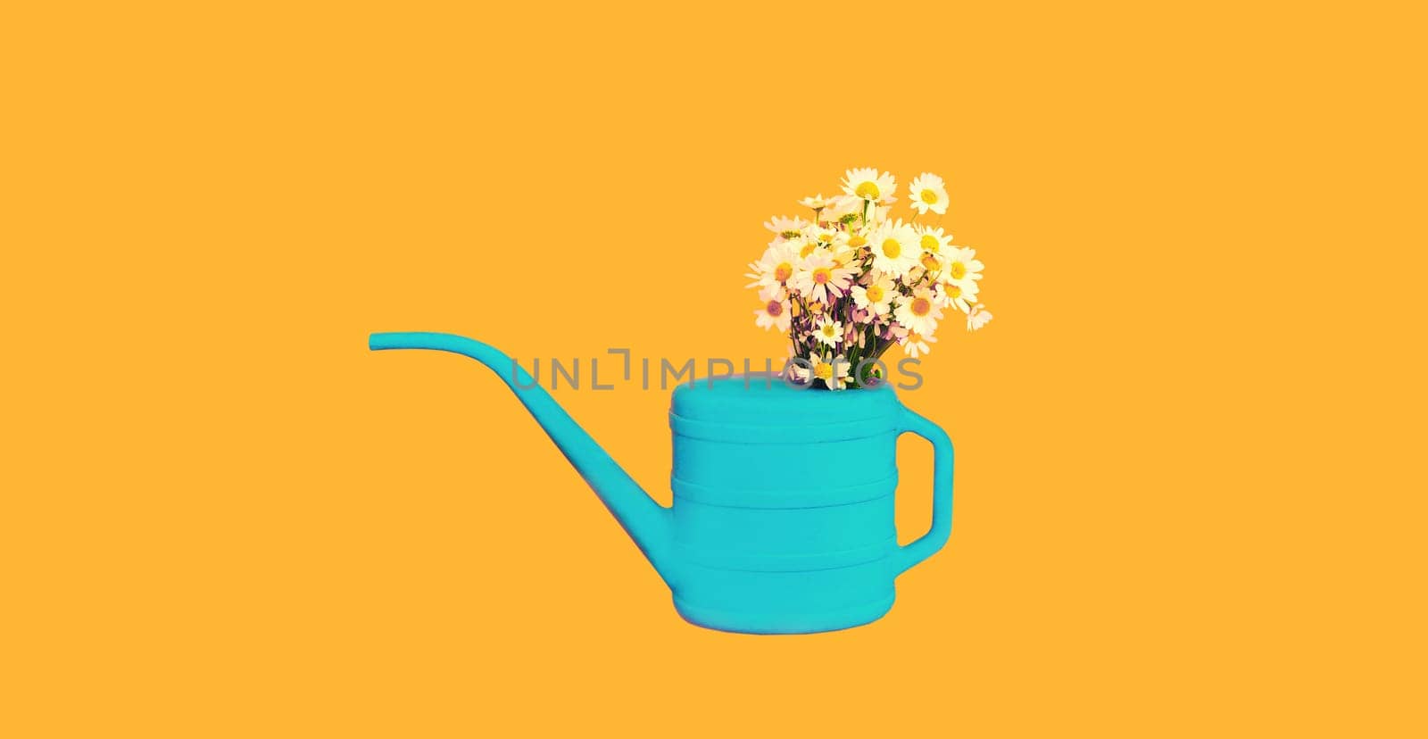 Blue watering can with flowers on yellow background, gardening concept