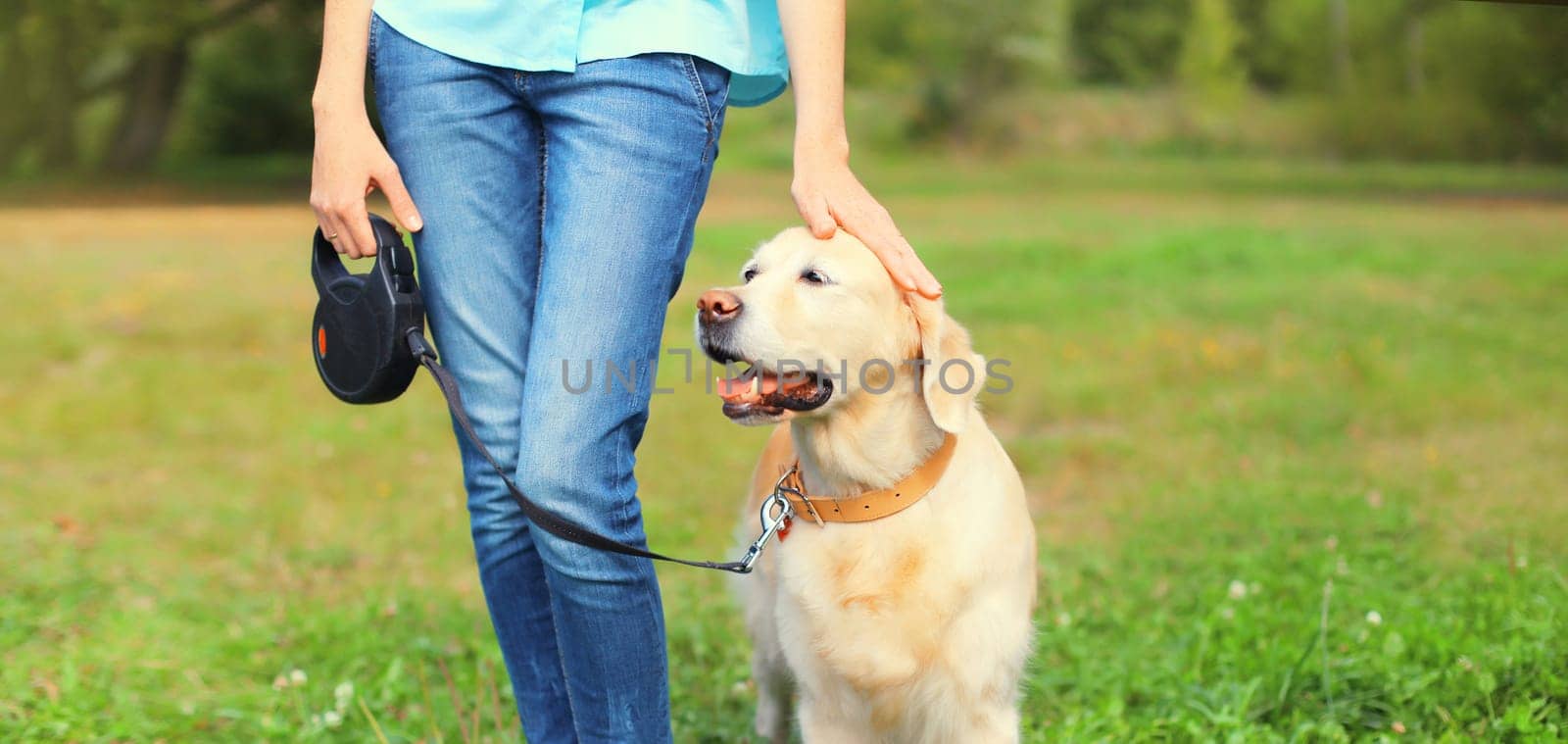 Owner woman walking with her Golden Retriever dog on leash in summer park
