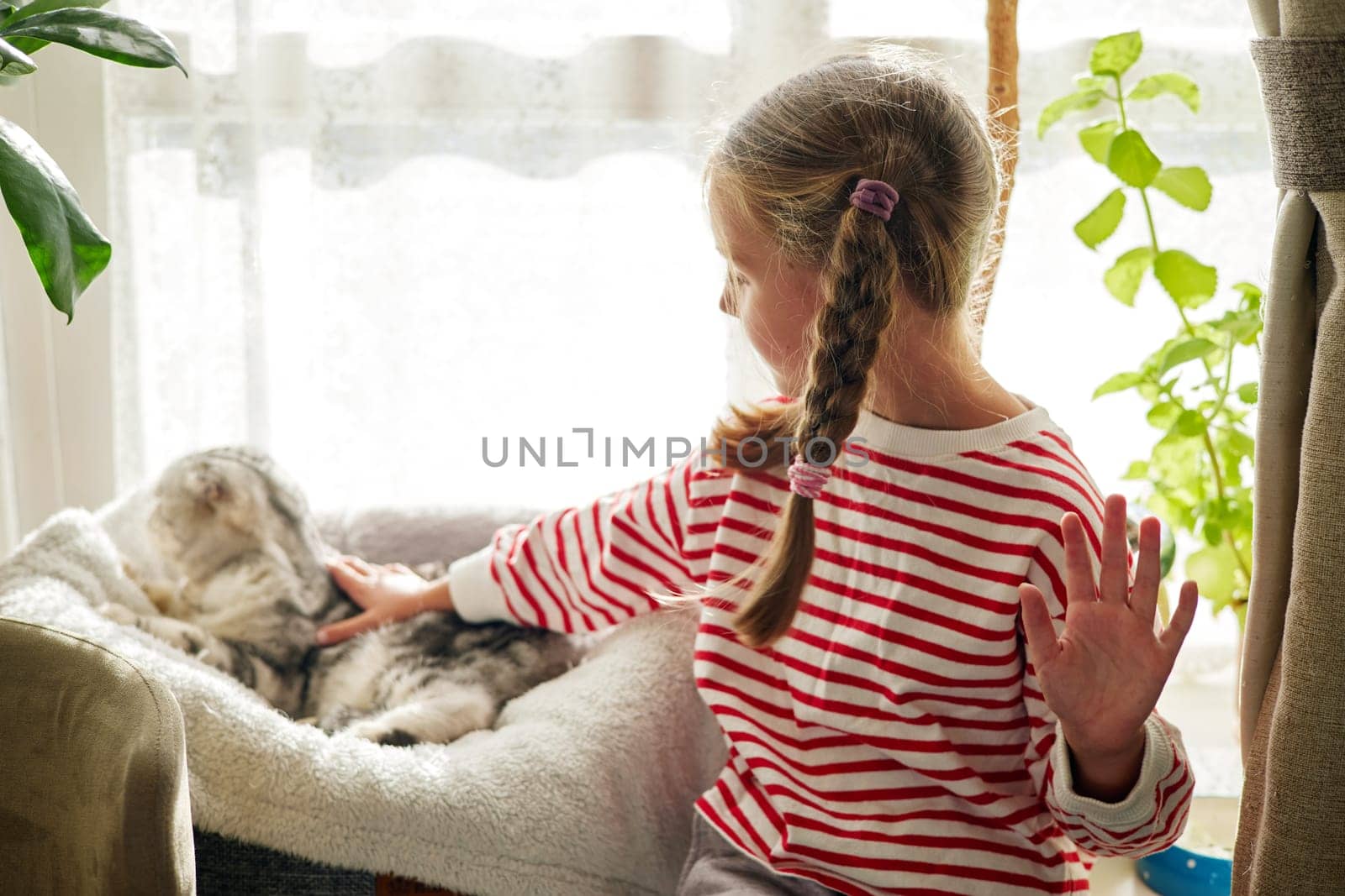 Little girl with plaits strokes purebred cat on windowsill by Demkat