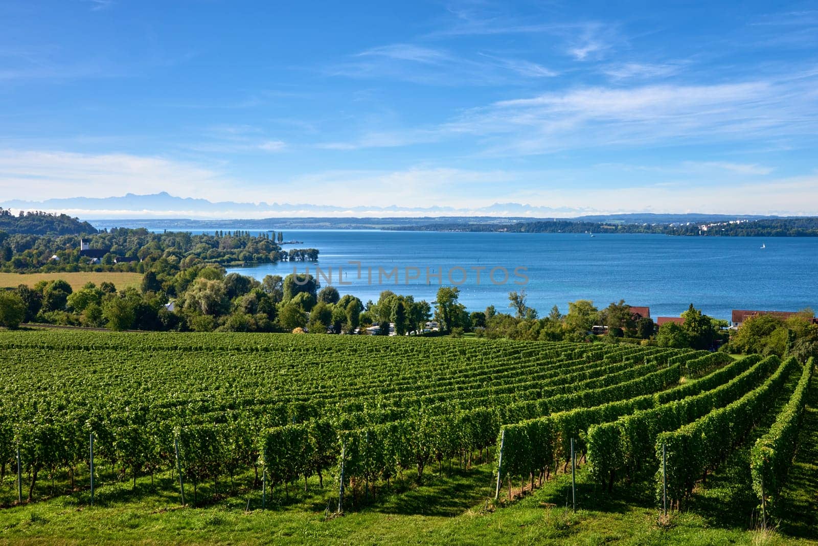 Bodensee Panorama: Alps on the Horizon, Vineyards, and Pastoral Beauty. Alpine Horizon: Bodensee, Vineyards, and Quaint Villages in the German Countryside. Vineyard Vistas: Bodensee, Alpine Peaks, and the Rural Charm of German Agriculture. Rural Tranquility: Bodensee Overlooking Pastures, Vineyards, and Traditional Villages by Andrii_Ko