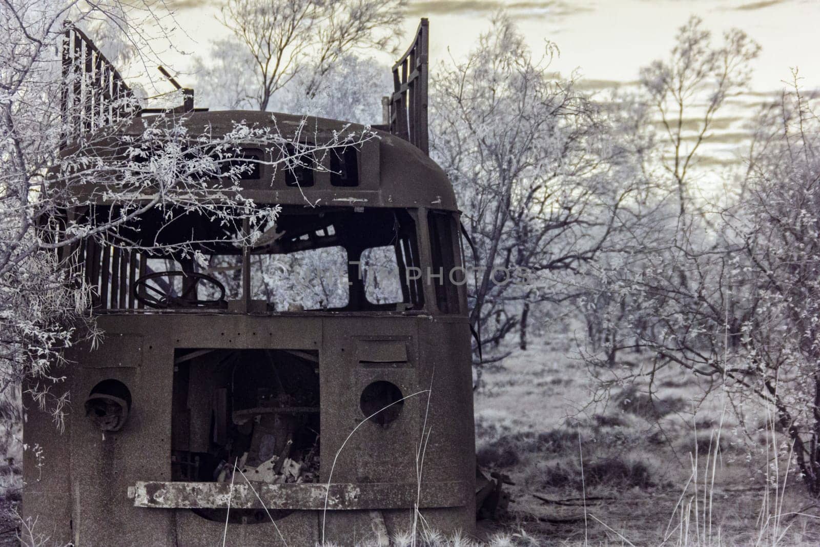Infrared wavelength photo of a derelict bus abandoned in the Australian outback, surrounded by overgrown trees and grasses.