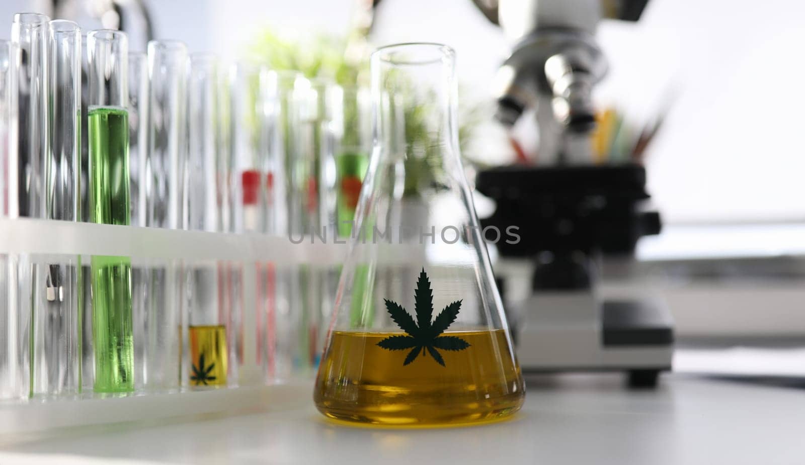 In chemical laboratory on table is flask hemp oil. Cannabis oil extraction in laboratory. Medical hemp. Cannabis analysis in laboratory. Hemp innovations to solve environmental problems