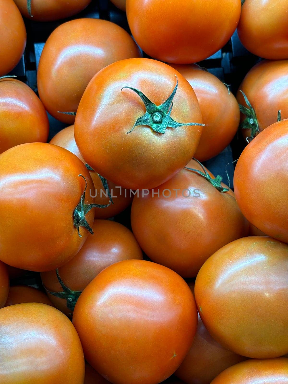 red tomatoes background. Group of tomatoes Delicious red tomatoes. Summer tray market agriculture farm full of organic vegetables