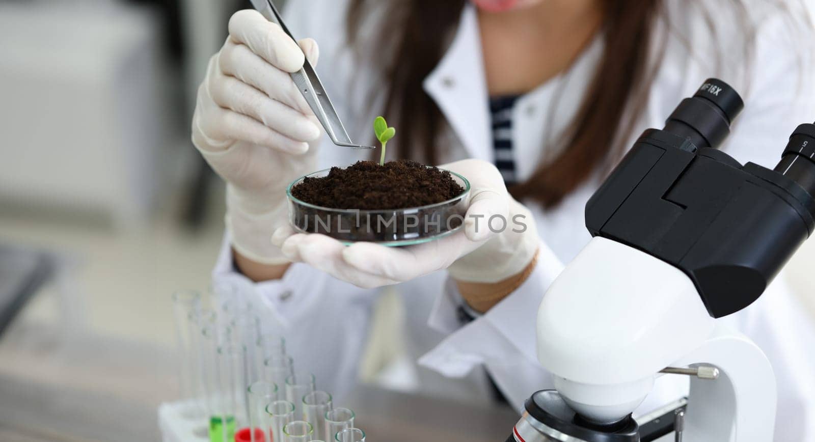 Close-up of scientists hands holding glass plate with sprig. Professional biologist researching new life with microscope at lab. Botany and ecology concept