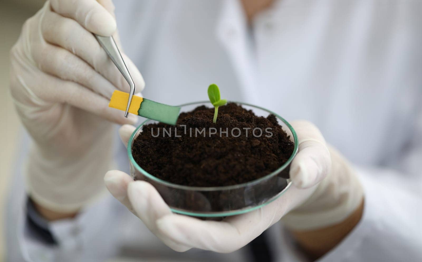 Close-up of scientists hands holding test strip and comparing colors with samples. Professional biologist working on sprout with special tools. Botany and ecology concept