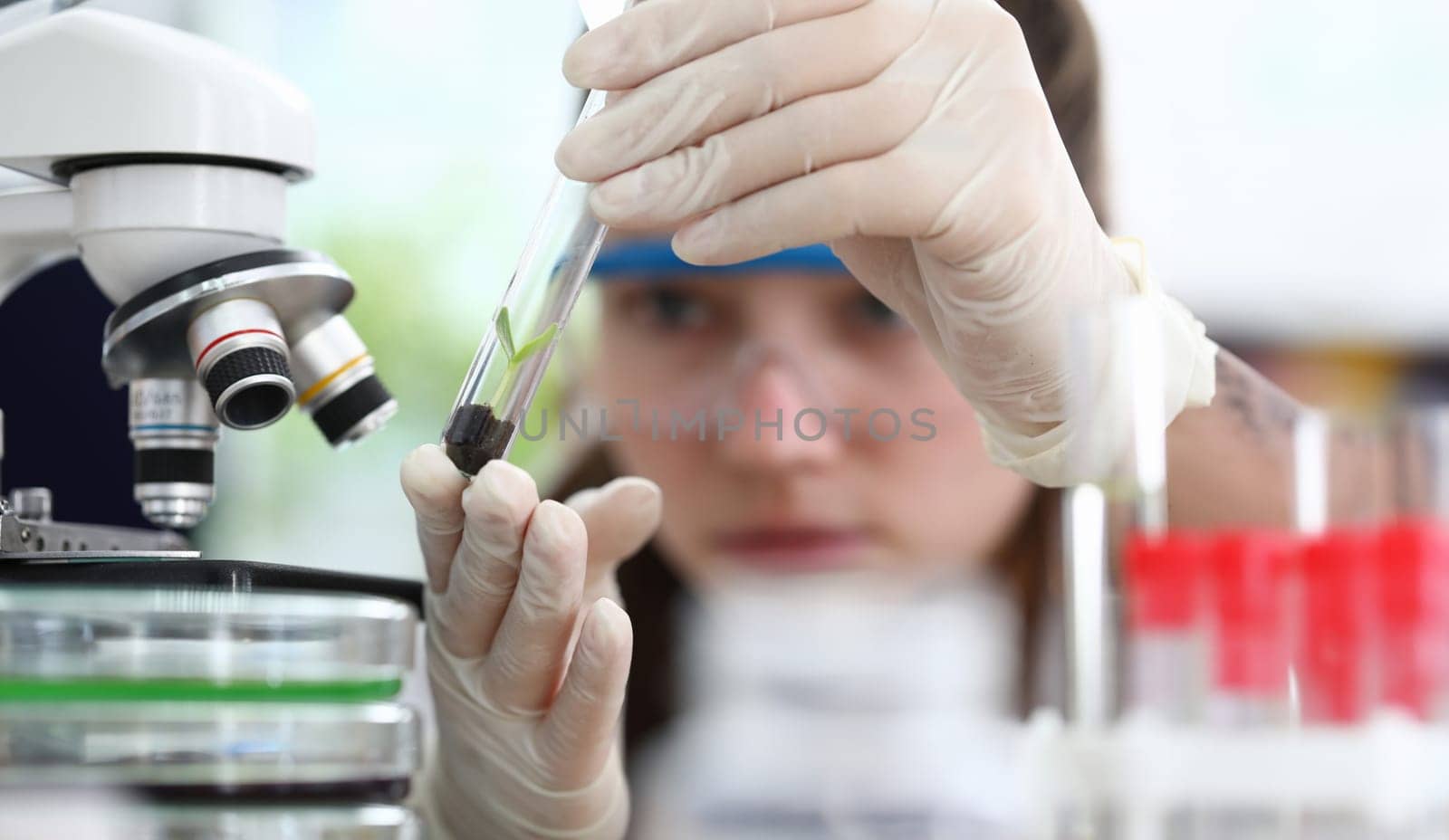 Close-up of scientist looking at tube with interest and concentration. Growth sprig taking flask for sample analysis. Shoot beginning new life. Botany and ecology concept