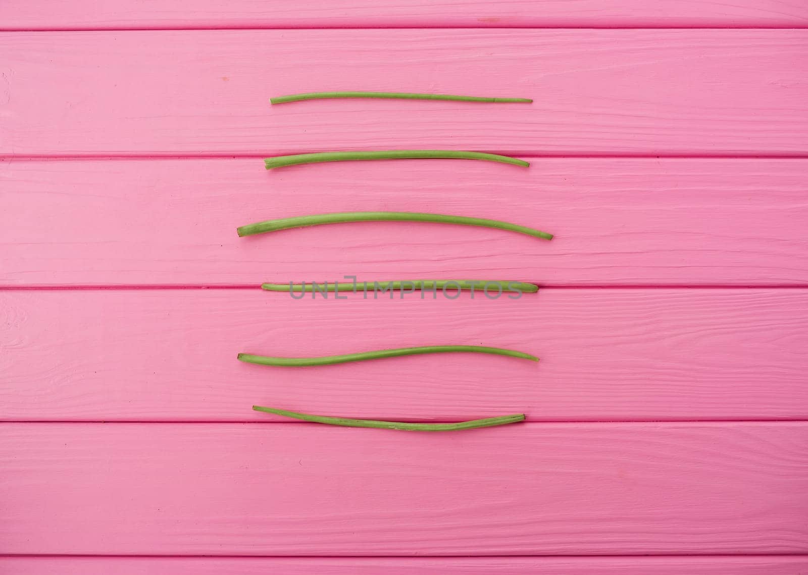 Summer abstract background mockup template free copy space for text pattern sample top view above on pink wooden board. blank empty area for inscription. lines stems stalks of dandelions lie parallel