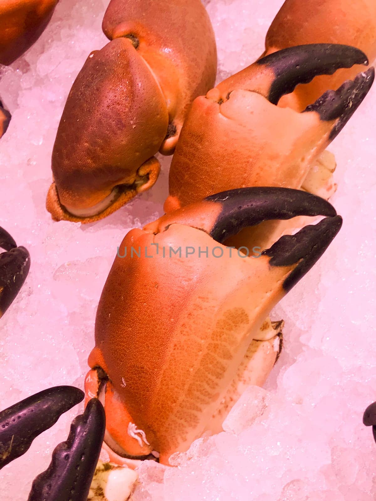 Crab claws, Cooked crabs for sale in the supermarket, Seafood by FreeProd