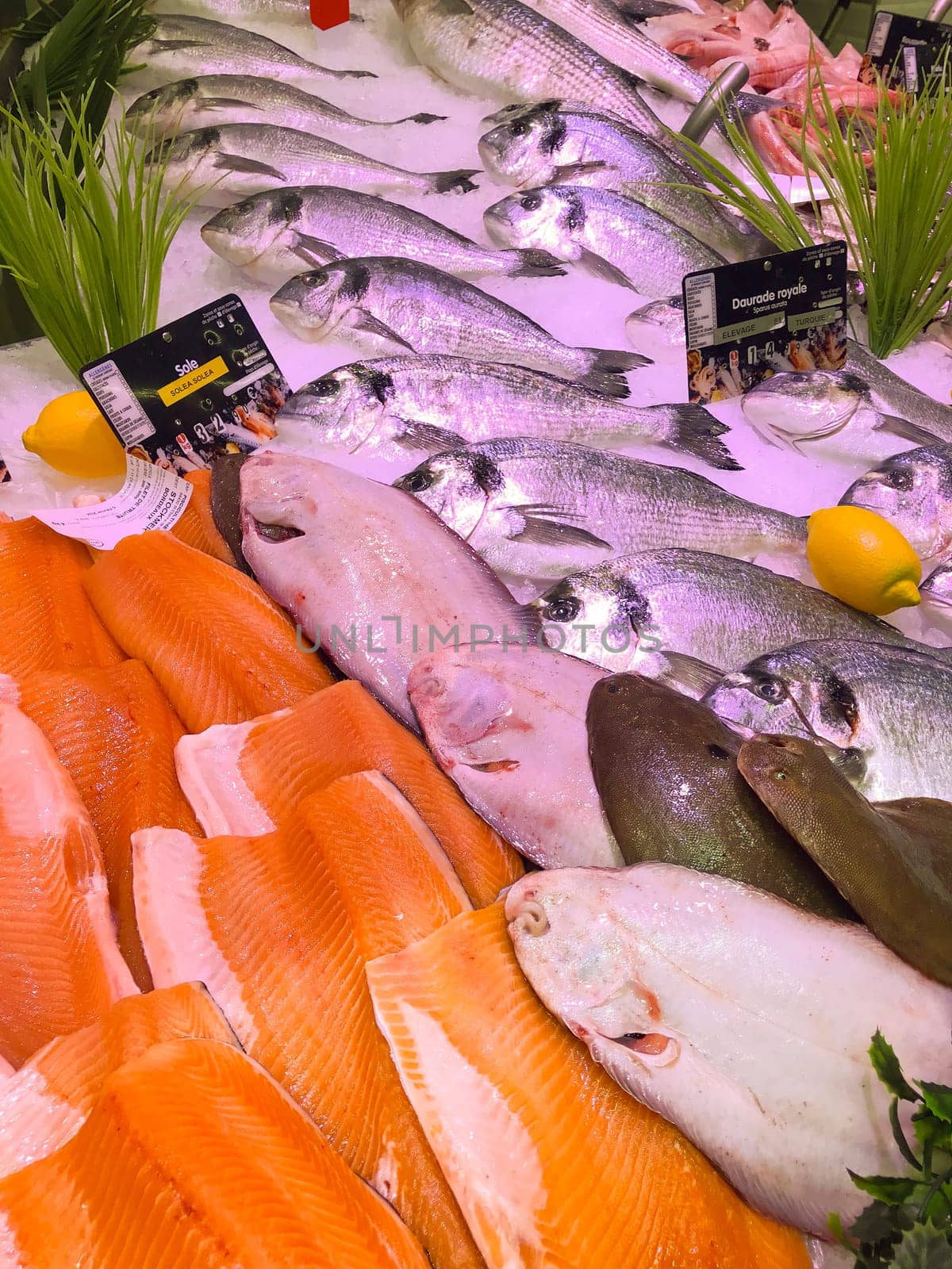 FRANCE, BORDEAUX, February, 9, 2024: Assortment of fresh daily fish on ice market in supermarket by FreeProd